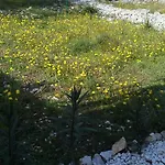 Lejlighed Eco Secluded Zabodarski Čunski