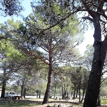 Eco Secluded Zabodarski * Čunski