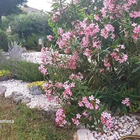 Apartamento Eco Secluded Zabodarski *