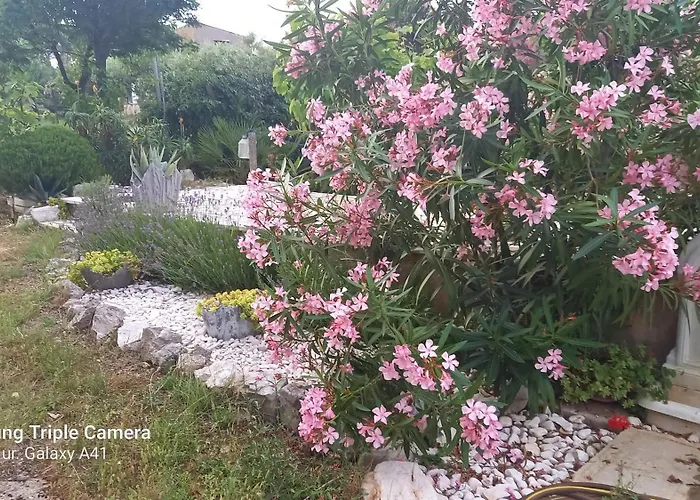 Appartement Eco Secluded Zabodarski *