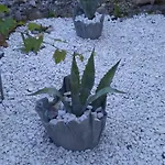 Eco Secluded Zabodarski