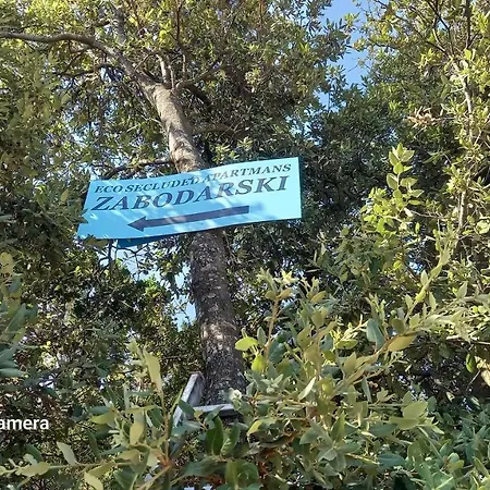Eco Secluded Zabodarski Apartmán *