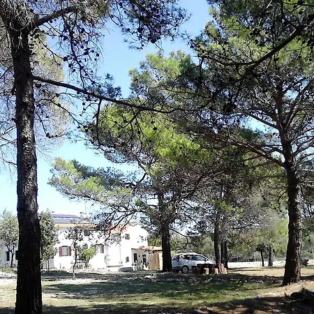 Apartment Eco Secluded Zabodarski