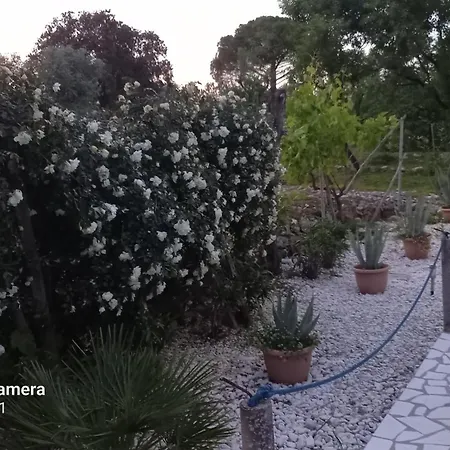 Apartment Eco Secluded Zabodarski *
