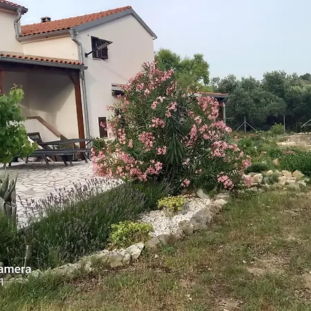 Apartment Eco Secluded Zabodarski *