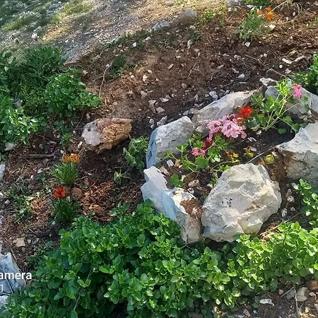 Apartment Eco Secluded Zabodarski Cunski