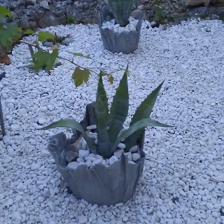 Eco Secluded Zabodarski