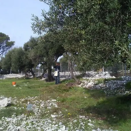 Eco Secluded Zabodarski Čunski