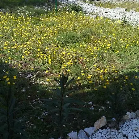 Apartment Eco Secluded Zabodarski Cunski