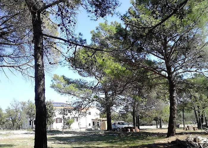 Apartment Eco Secluded Zabodarski
