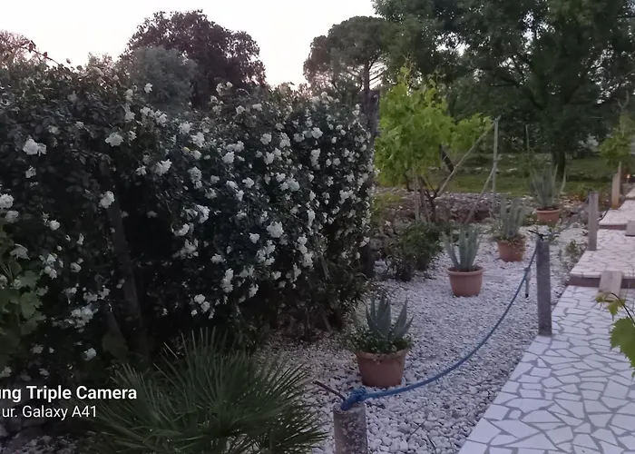 Apartment Eco Secluded Zabodarski *