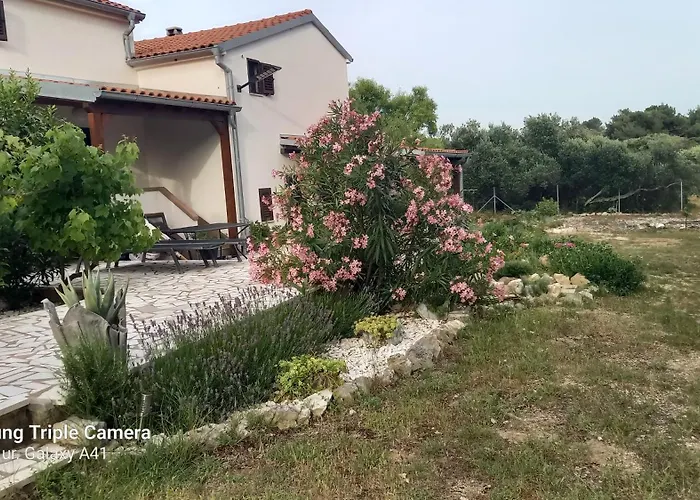 Apartment Eco Secluded Zabodarski *