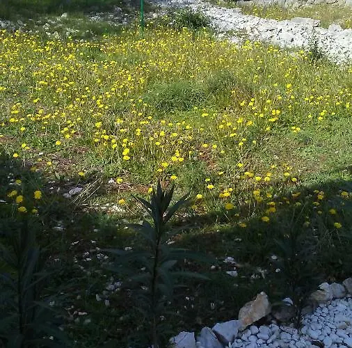 Apartment Eco Secluded Zabodarski Čunski