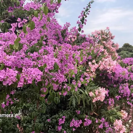 Eco Secluded Zabodarski