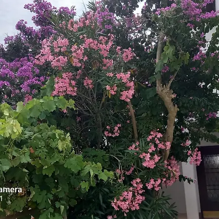 Appartamento Eco Secluded Zabodarski Čunski