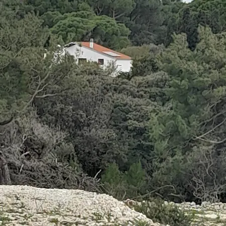 Eco Secluded Zabodarski Apartment Čunski