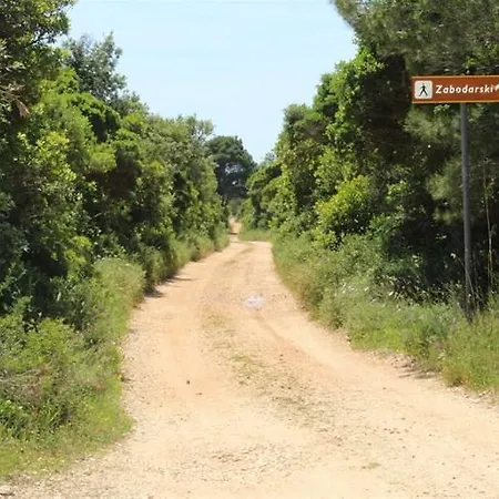 Appartamento Eco Secluded Zabodarski