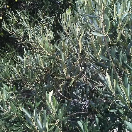 Eco Secluded Zabodarski Appartamento