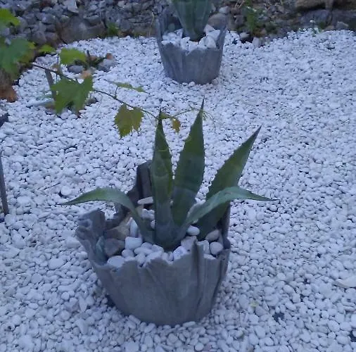 Eco Secluded Zabodarski